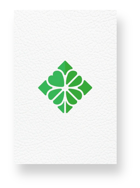 ShamRockk Journal - 100p white - 6x9 Dot Grid
